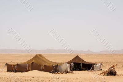 Desert Camp