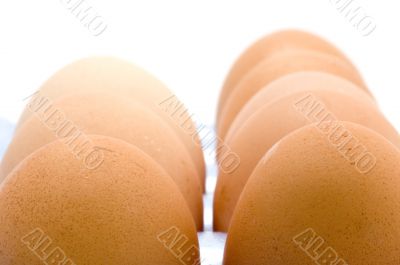 eggs in box