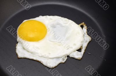 fried eggs