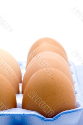 yellow eggs in box