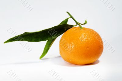 mandarin