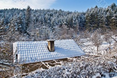 Roof, snow anf forest in winter