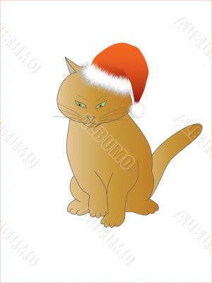 Xmas Cat