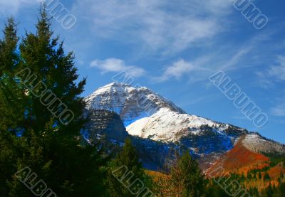Mountain Meadow 3