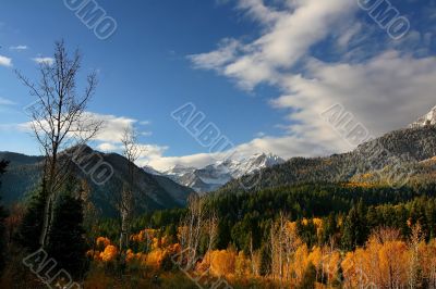 Mountain Meadow 2
