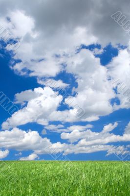 meadow against summrer sky