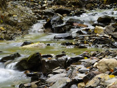 streambed