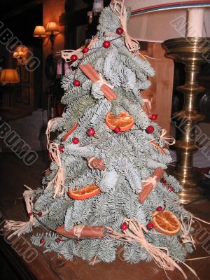 A Fur-Tree Decorated By Cinnamon