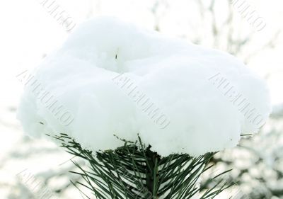  The first snow.