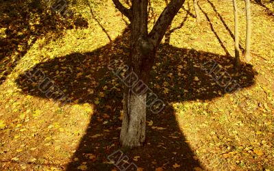 Shadow `UFO`.