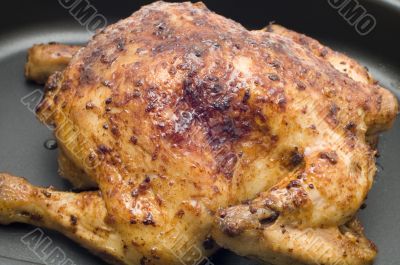 roast chicken
