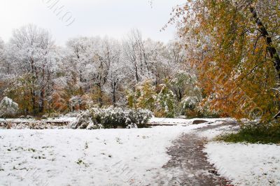 Winter came to town