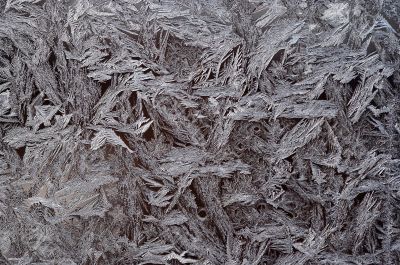 frost flower
