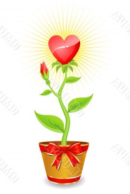 flower heart / grows with love together / vector