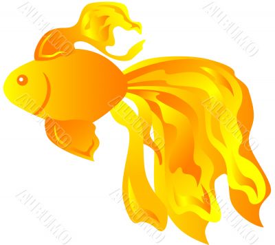 Goldfish