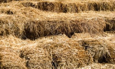 Bales of Straw