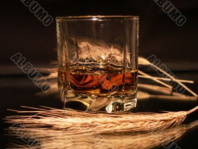 Whisky and wheat on dark