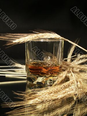 Glass of whisky and wheat ears