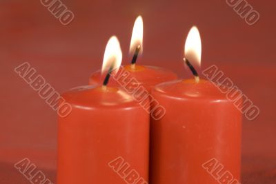Loving Flames