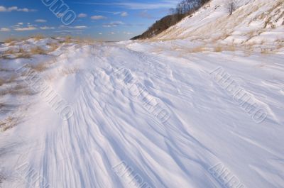 Winter Saugatuck Dunes