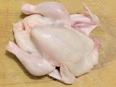 Raw chicken
