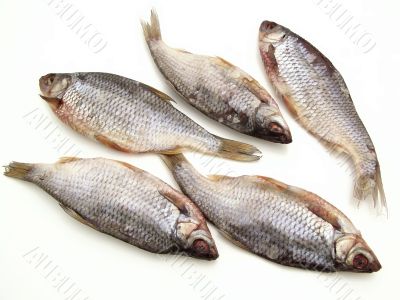 Dry fish