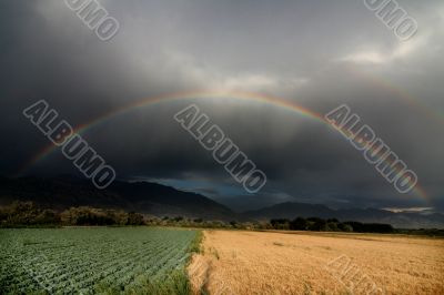 Rainbow 2