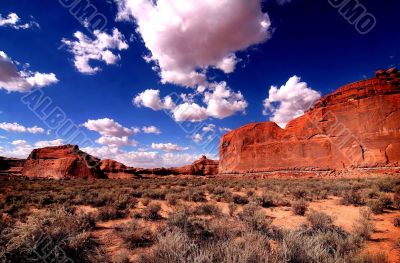 Desert View