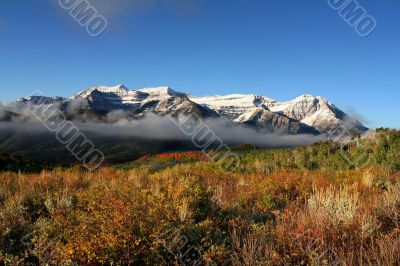 Mountain Meadow 9