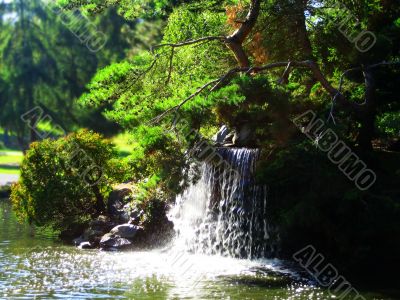 Point Defiance Waterfall