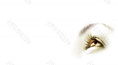 Women`s eye - looking forward.Isolated on white.
