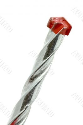 grey auger