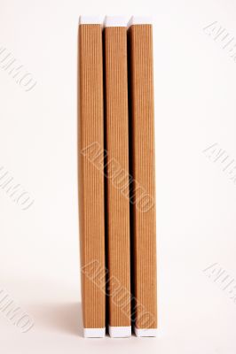 File Folders Stuffed with Paperwork