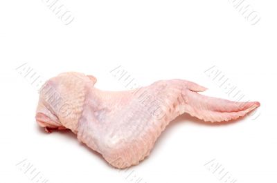 One chicken wing