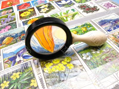 magnifier and collection