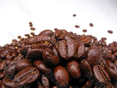 grains coffee