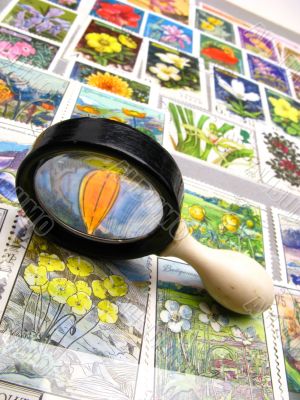magnifier and collection