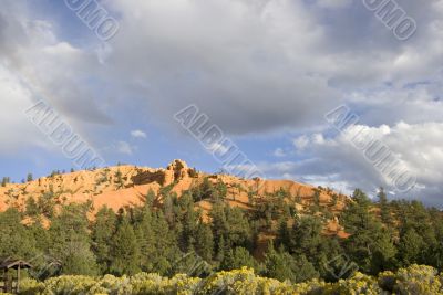 Dixie National Forest