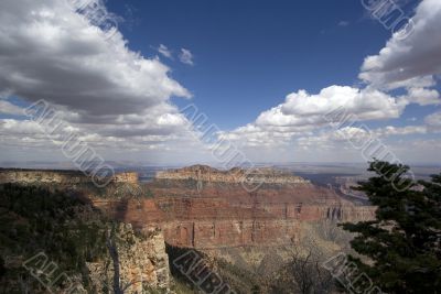 The Grand Canyon