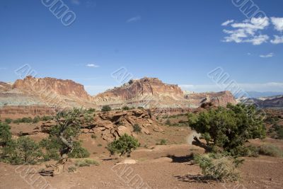 Capitol Reef National Park
