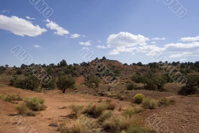 Capitol Reef National Park