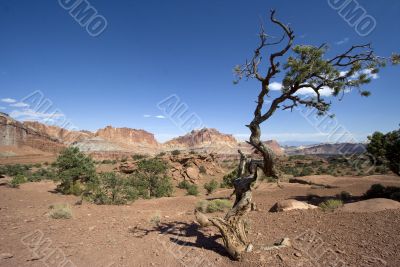Capitol Reef National Park