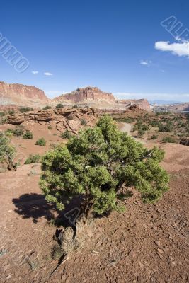Capitol Reef National Park