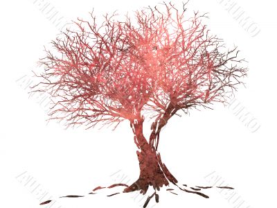 winter tree