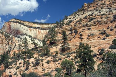 Zion National Park