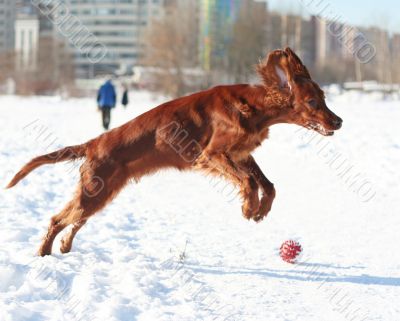 flying