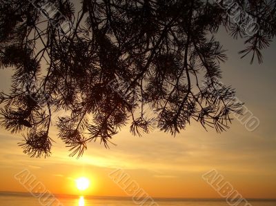 dawn on the sea in winter