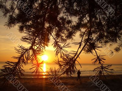 dawn on the sea in winter