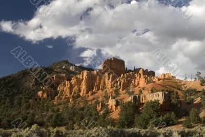 Dixie National Forest