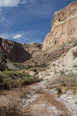 Capitol Reef National Park